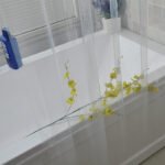 Transparent Bath Curtain EVAPEVA Waterproof And Mildew-proof Bathroom Shower Room Partition Curtain - Image 5